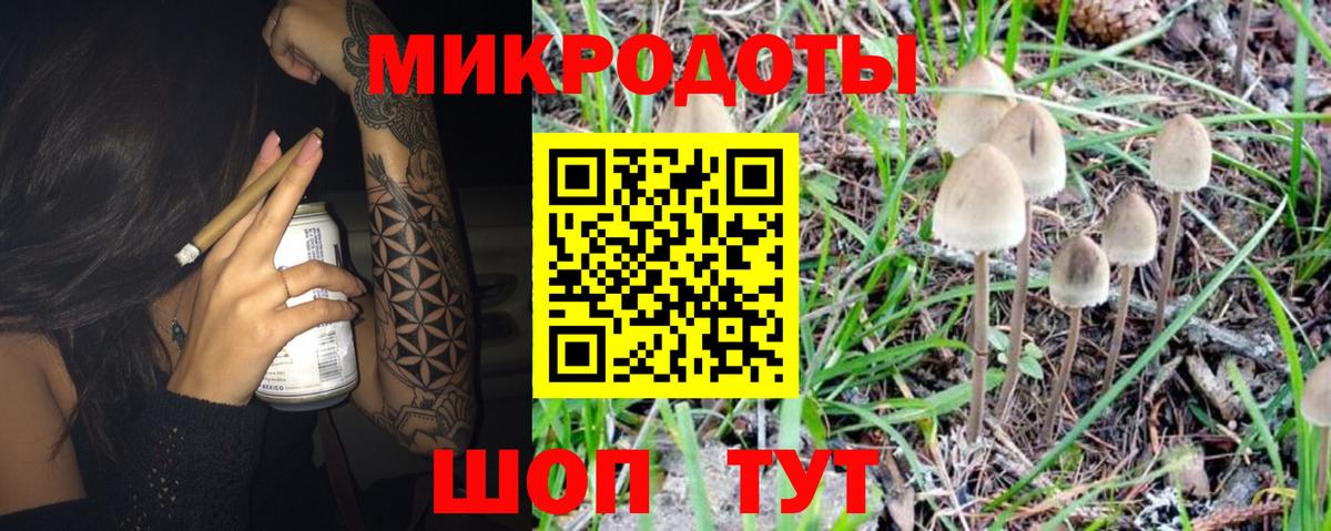 Псилоцибиновые грибы мицелий  Псилоцибиновые грибы Psilocybe  Вход с VPN  Гусев 